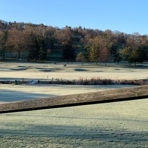 Meet your Posher, Brady